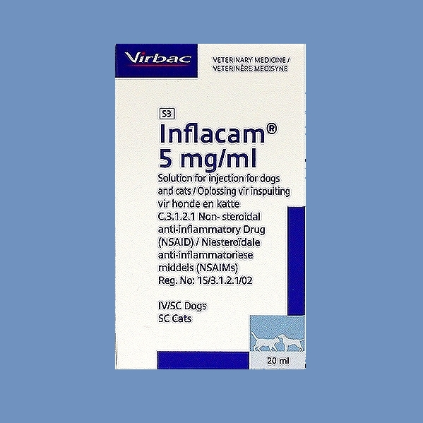 INFLACAM Meloxicam Injection, 5 mg/mL