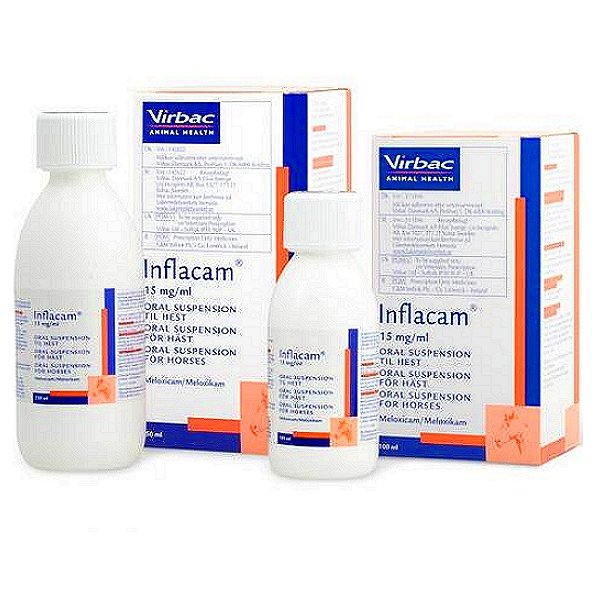 INFLACAM Meloxicam Oral Suspension, horse