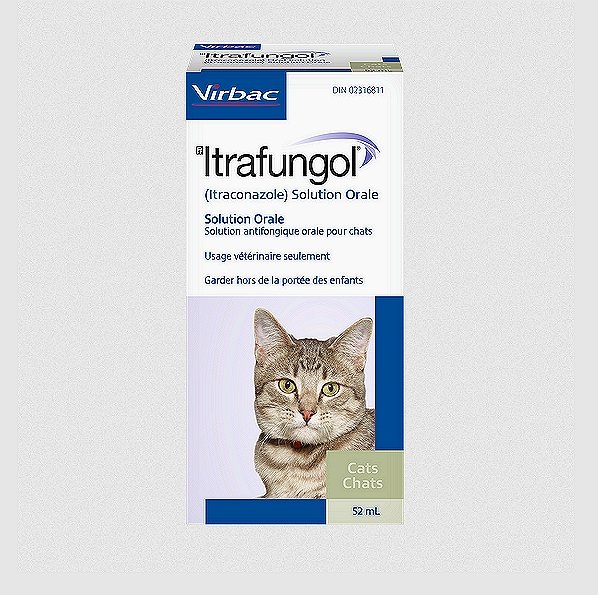 ITRAFUNGOL Itraconazole Oral Solution