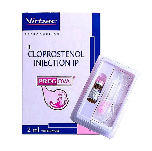PREGOVA Cloprostenol Injection